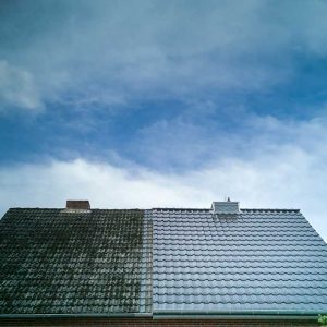 roof-cleaning